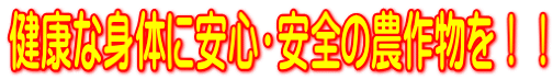 NȐĝɈSES̔_앨II